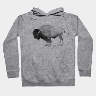 Bison Hoodie